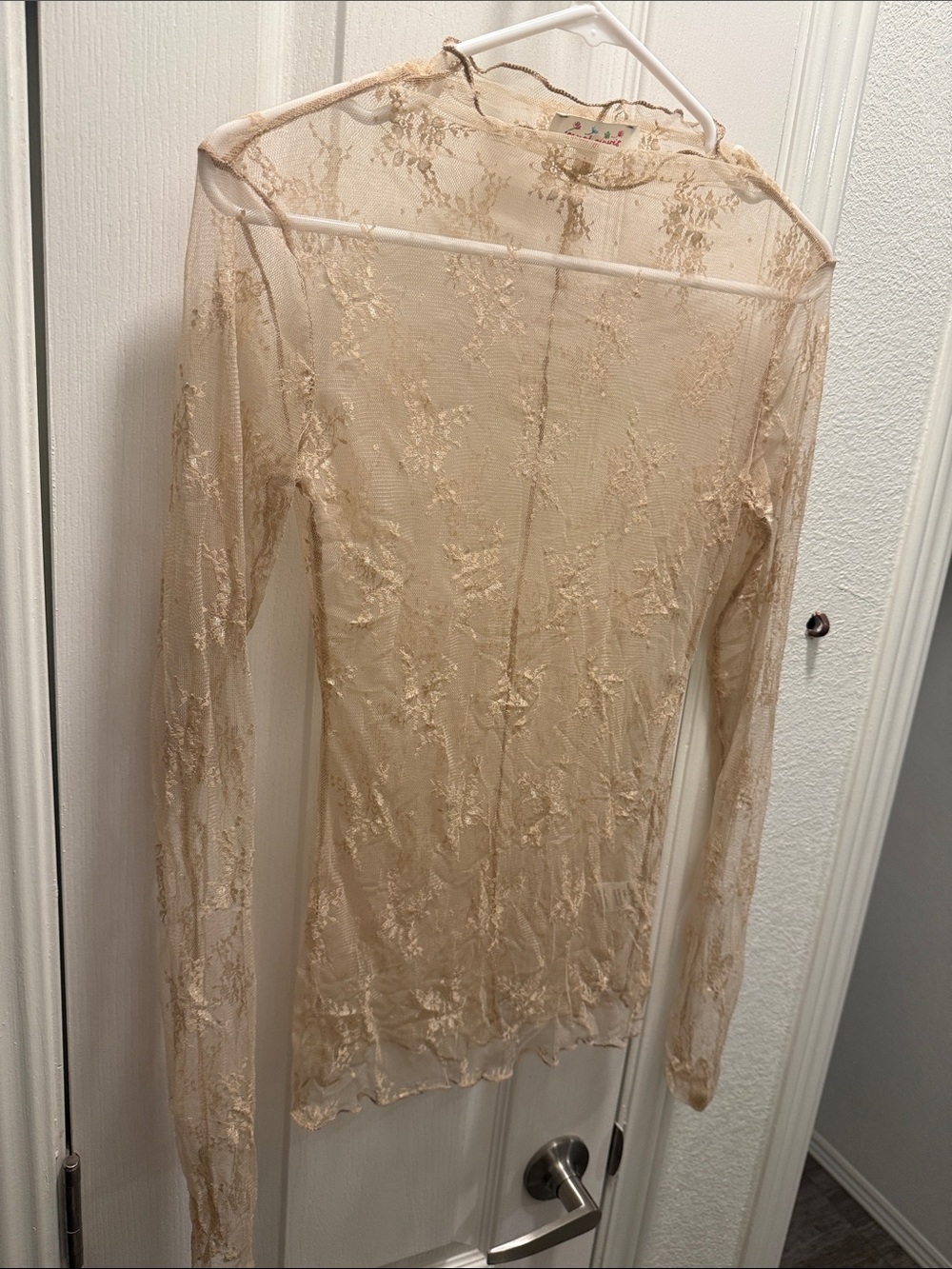 Sheer Lace Long-Sleeve Top in Nude
